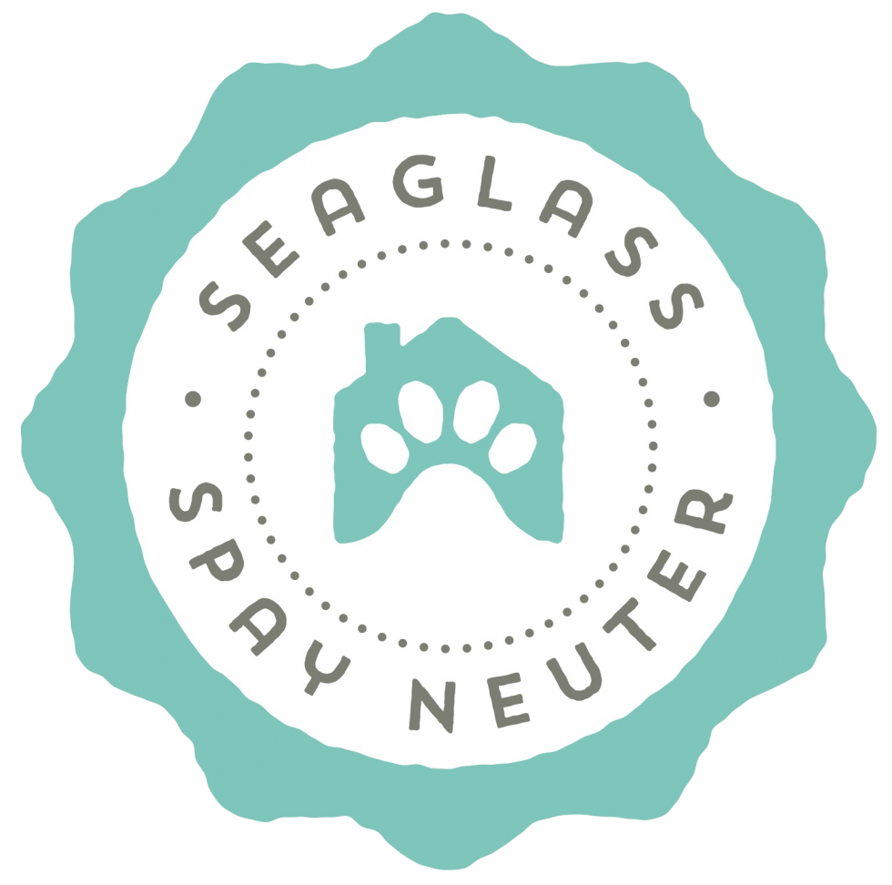 Home seaglass spay neuter